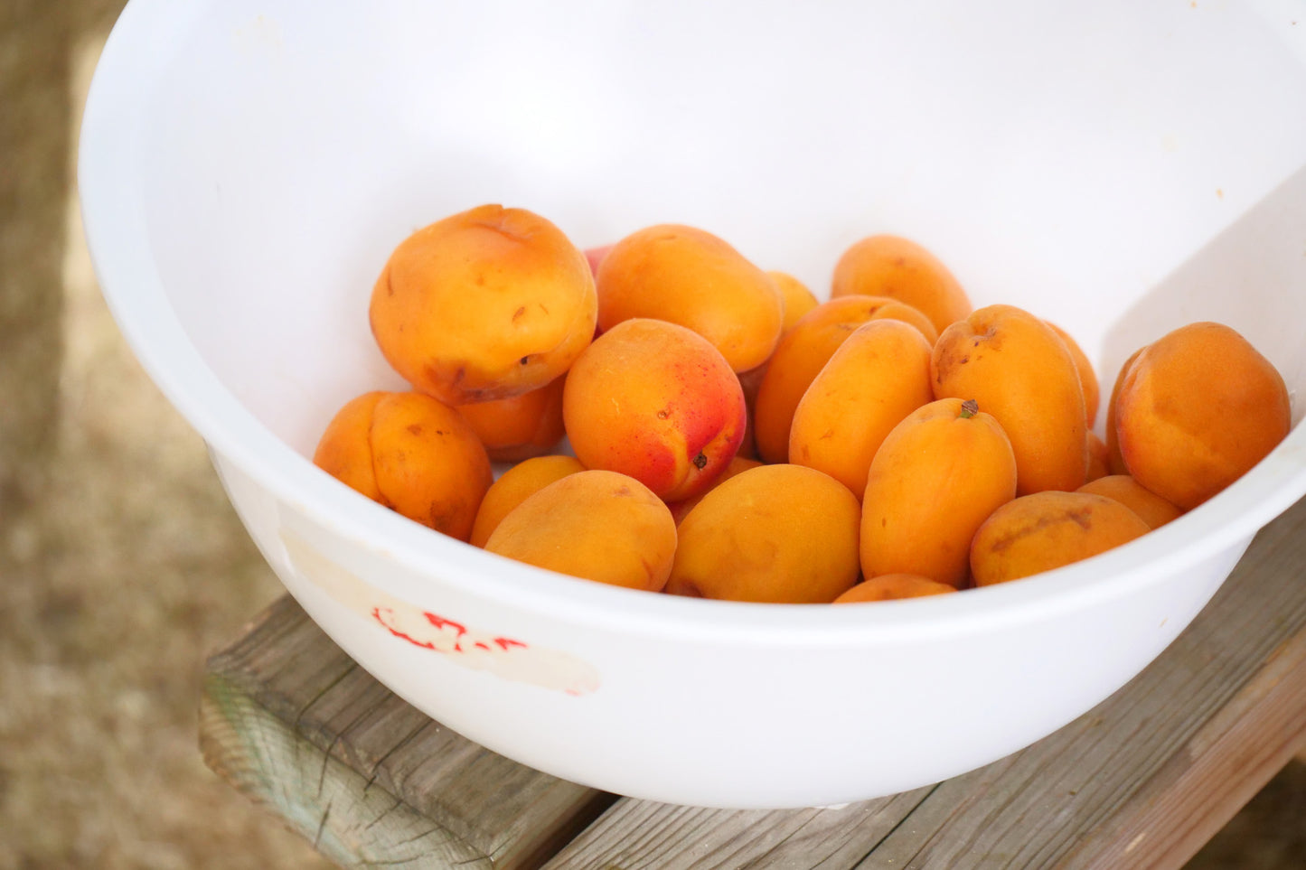 Confiture Abricot